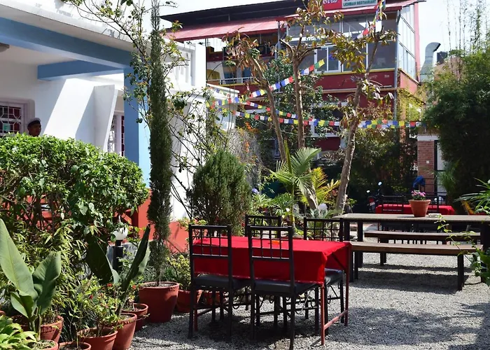 Bed & Breakfast Cocina Mitho Chha