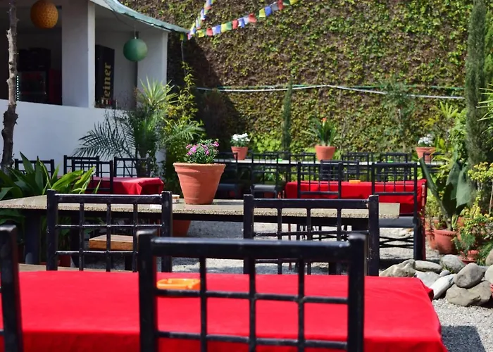 Bed & Breakfast Cocina Mitho Chha